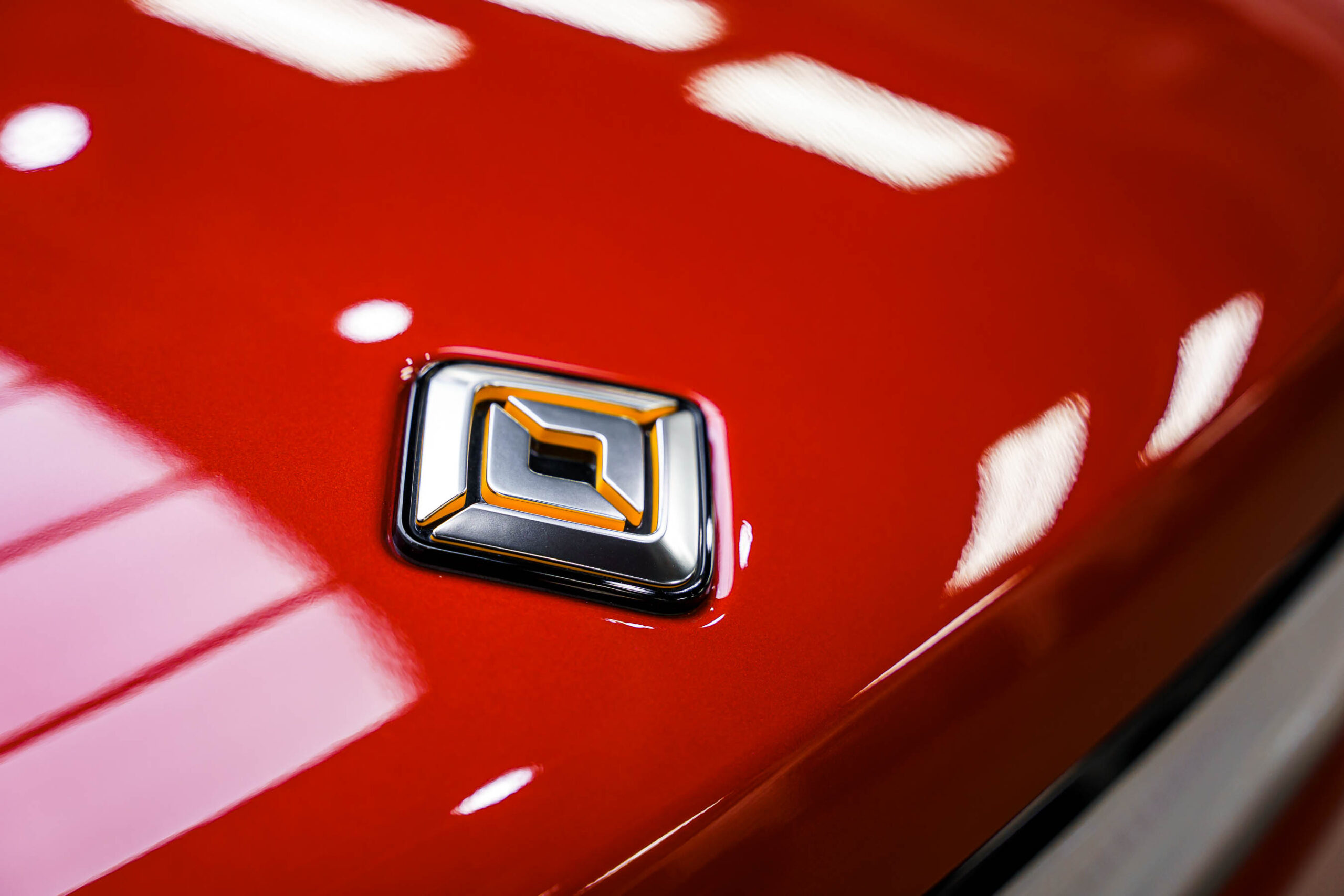 Finished car close up of emblem